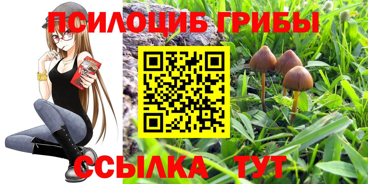 Магадан  Галлюциногенные грибы Cubensis  Вход с VPN  Псилоцибиновые грибы ЛСД 